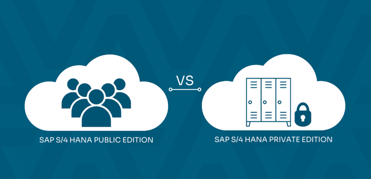 SAP S4 HANA Public Vs. Private Cloud